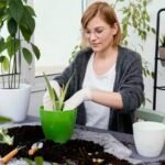 How Can I Make My Soil More Alkaline for Plants