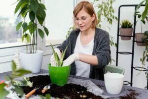 How Can I Make My Soil More Alkaline for Plants